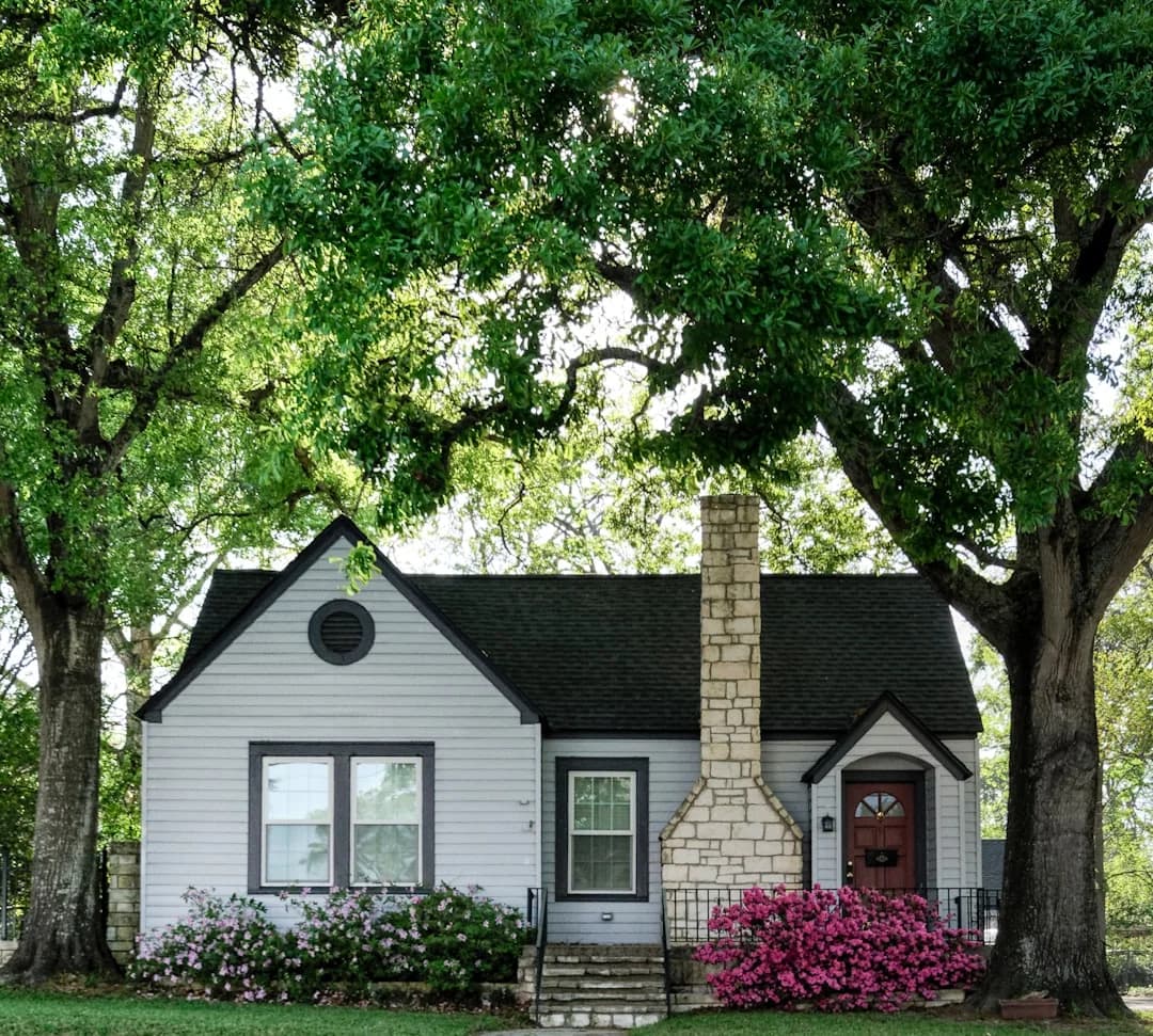 White weatherboard home framed by mature trees