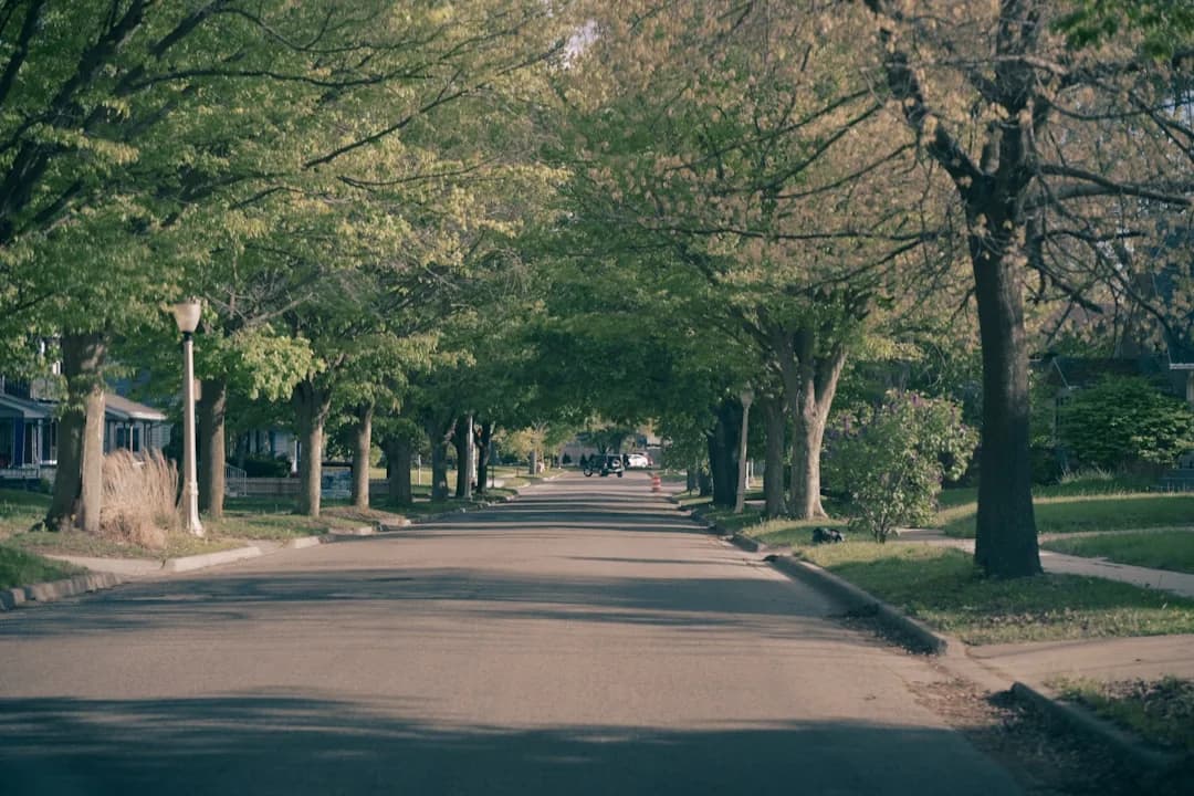 Quiet tree-lined residential street